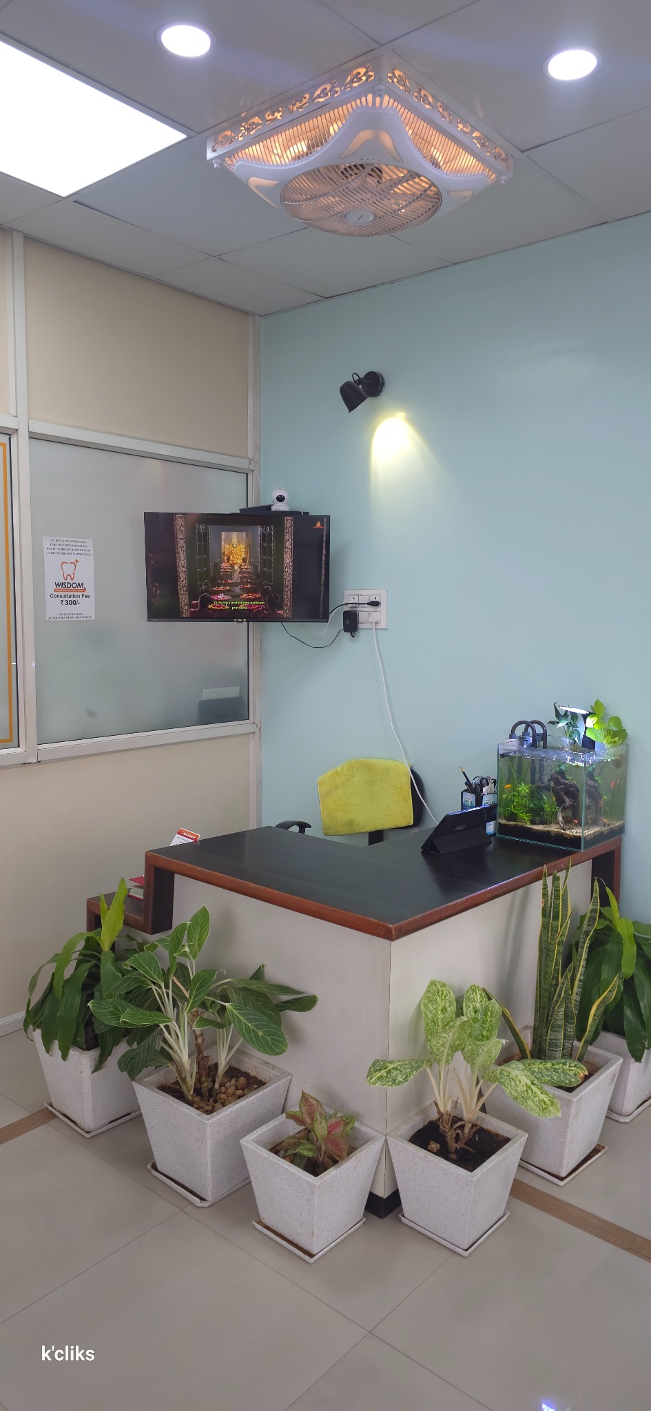 Reception desk surrounded by indoor plants at Wisdom Dental